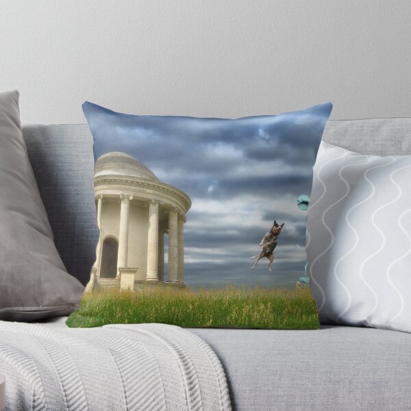 A Sporting Chance Throw Pillow