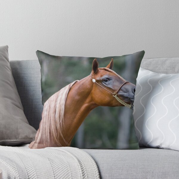 Item preview, Campeonato nacional árabe designed and sold by Malcolm Katon.