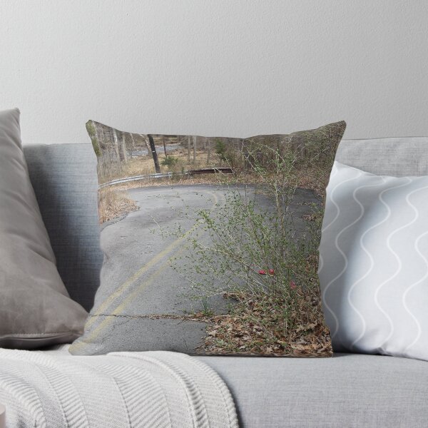 Item preview, abandoned road designed and sold by eelsblueEllen.