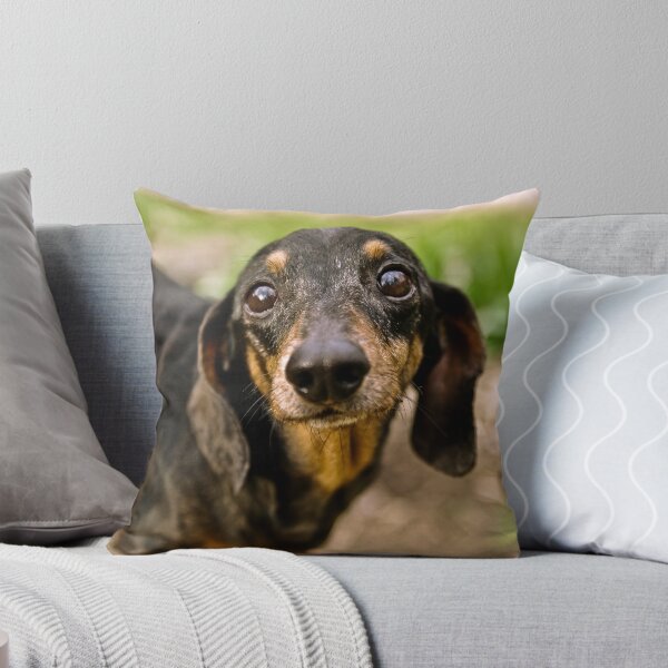 Item preview, Zachary designed and sold by Dave Parrish Photography.