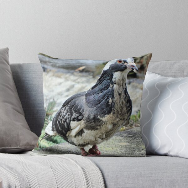 Item preview, Perky Pigeon designed and sold by JacquiK.