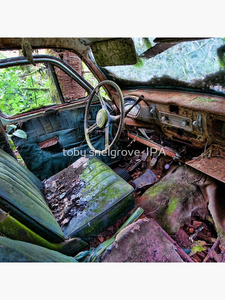 Car in the woods, Front Seat by tobysnelgrove