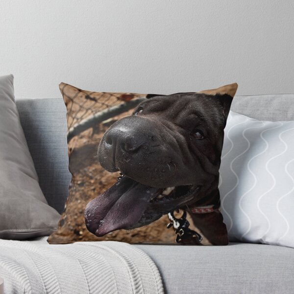Item preview, Frank designed and sold by MickDodds.