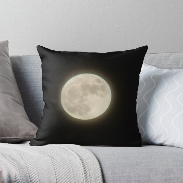 The Moon Throw Pillow