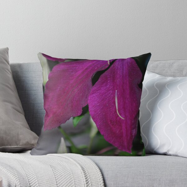 Item preview, Cornering Beauty designed and sold by Sunshinesmile83.