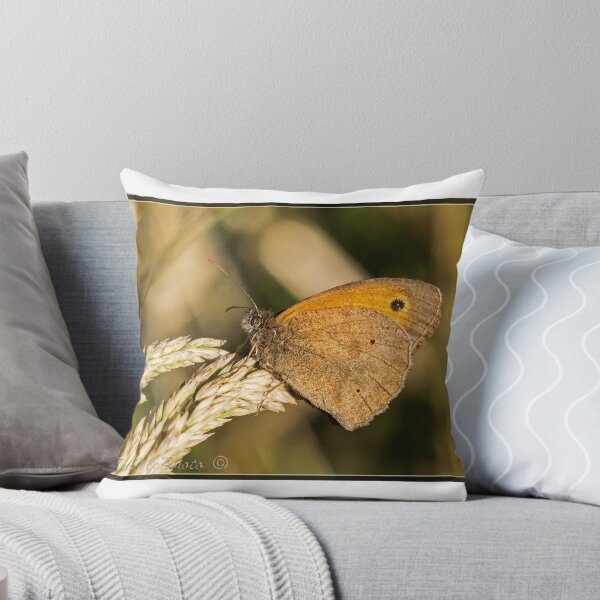 Item preview, Meadow Brown Butterfly (Maniola jurtina) (II) designed and sold by DonMc.