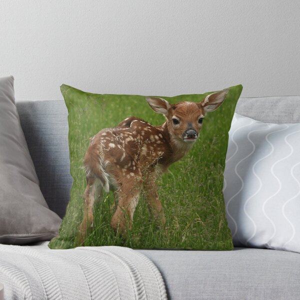 Item preview, A new birth designed and sold by scarlett131.