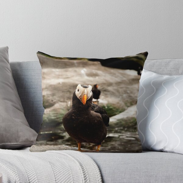 Item preview, Tufted Puffin designed and sold by Jodi Morgan.