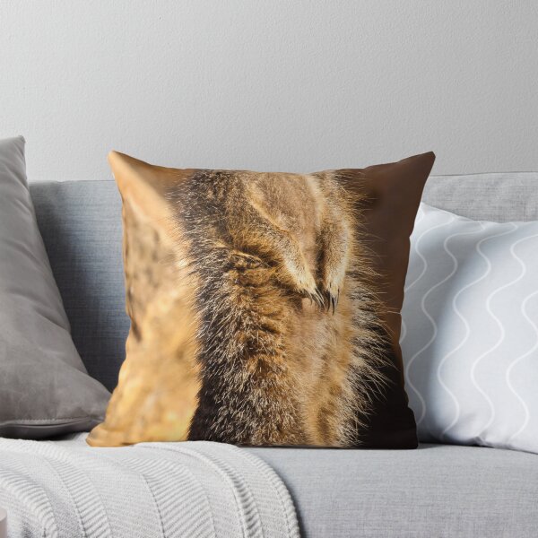 Item preview, Annnndddd...pose for the camera!! designed and sold by Shaun Whiteman.