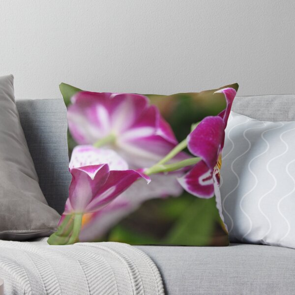 Artikelvorschau, World of Orchids Plate # 4 entworfen und verkauft von Matsumoto.