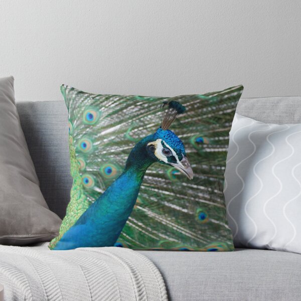 Aperçu de l'œuvre Pretty Peacock créée et vendue par Gethin.