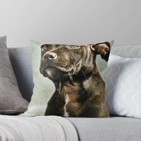 Item preview, Shogun designed and sold by photorealm.