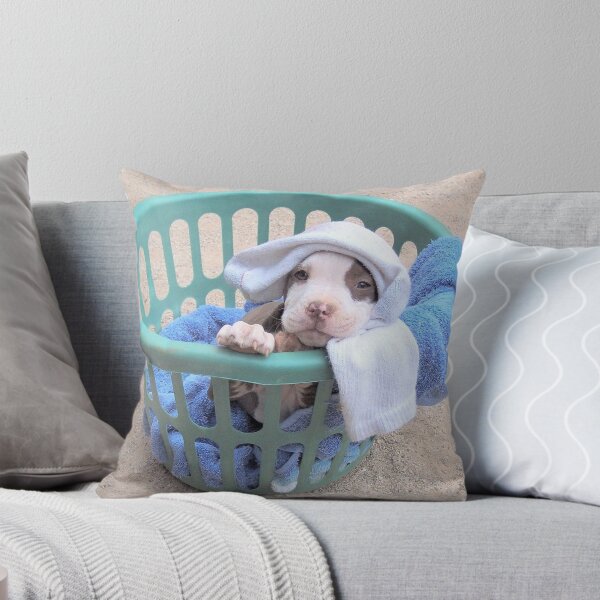 Item preview, What Laundry? designed and sold by Ginny York.