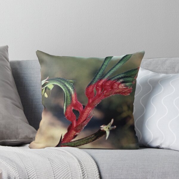 Item preview, Red Kangaroo Paw Nr Jurien Bay WA 19820815 0009  designed and sold by Fred Mitchell.