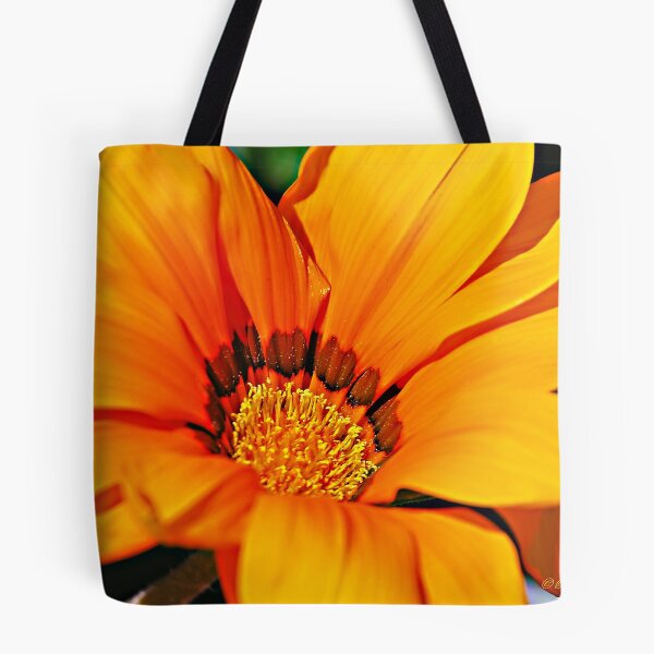 Item preview, Beauty in the Center designed and sold by Pat Moore.