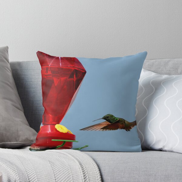 Item preview, Hummingbird approaching feeder designed and sold by MaluC.
