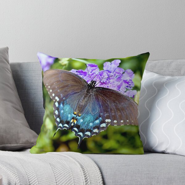 Item preview, Pipevine Swallowtail Butterfly designed and sold by K D Graves Photography.