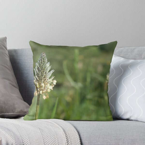 Artikelvorschau, Seed Head entworfen und verkauft von Sandra Mangnall.