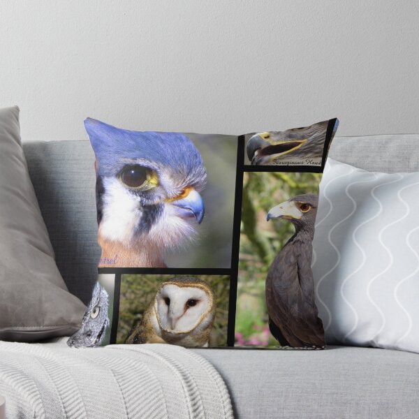 Item preview, Birds Of Prey Poster designed and sold by Luck of the Shutter.