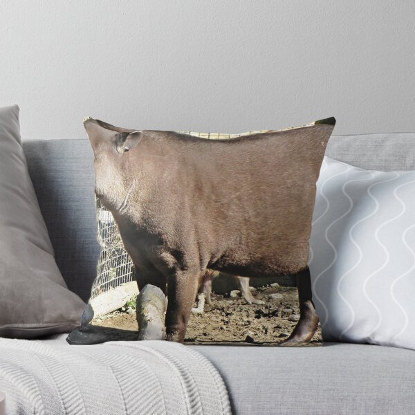 Item preview, " Nosey" designed and sold by mrcoradour.