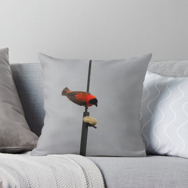 Item preview, Northern Red Bishop designed and sold by richeriley.
