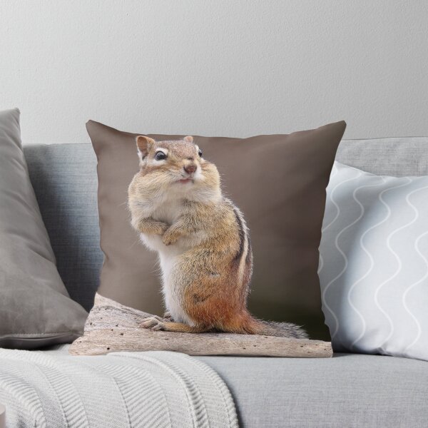 Item preview, Beating Heart/ Chipmunk designed and sold by Gary Fairhead.