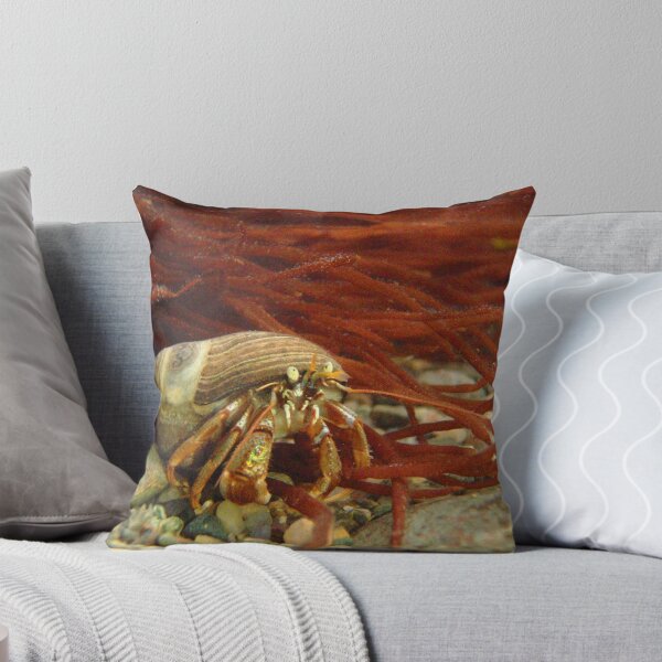 Item preview, Hermit Crab  designed and sold by Kevin Moore.