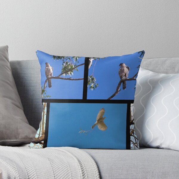 Item preview, Coopers Hawk ~ Raptor Series designed and sold by Luck of the Shutter.
