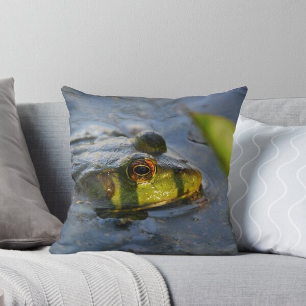 Artikelvorschau, Frog made right decision...... entworfen und verkauft von Sunshinesmile83.