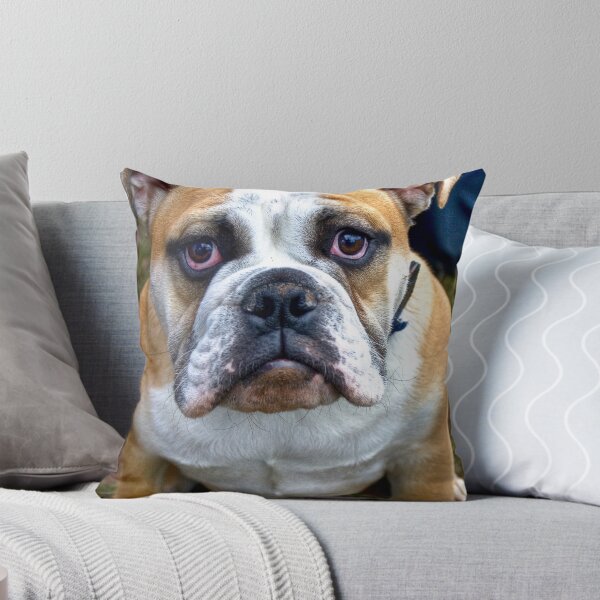 Item preview, Bulldog designed and sold by nataraki76.