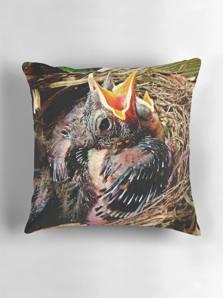 Aperçu 3 sur 4. Coussin avec l'œuvre Nested créée et vendue par Rinaldo Di Battista.