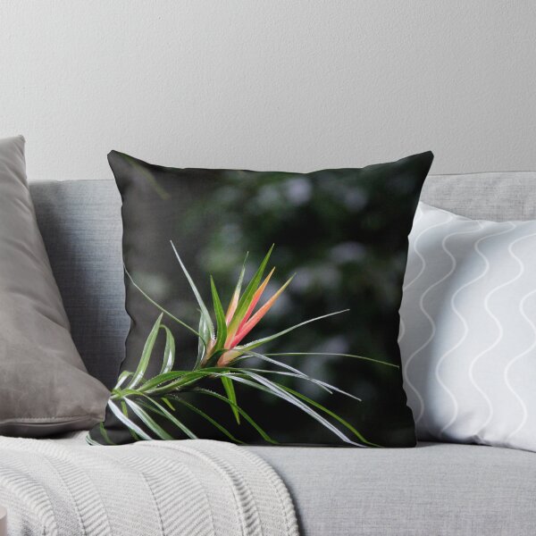 Item preview, A flower designed and sold by Lucas Lovell.