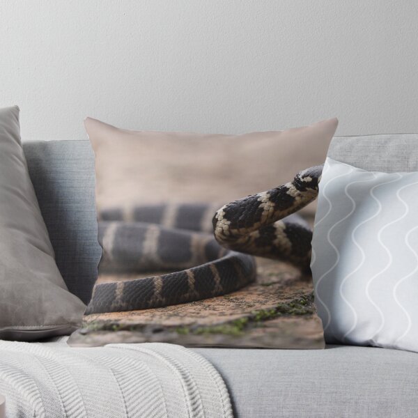 Item preview, Stephen's Banded Snake designed and sold by Steve Bullock.