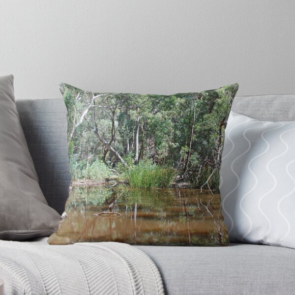 Item preview, Wilpena Creek, Flinders Ranges, South Australia designed and sold by Adrian Paul.