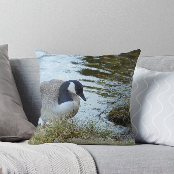 Item preview, Water World - Keen on Company designed and sold by HELUA.