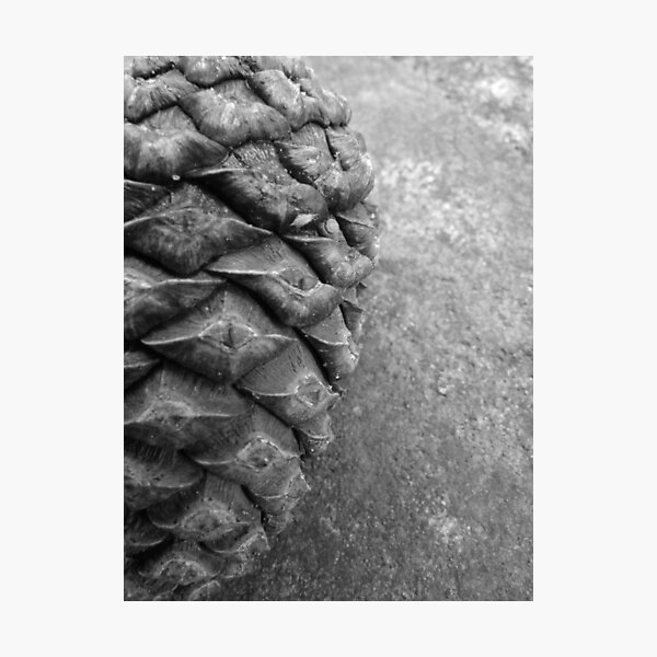 Item preview, Pine Cone designed and sold by shiro.