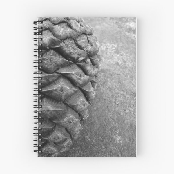 Item preview, Pine Cone designed and sold by shiro.