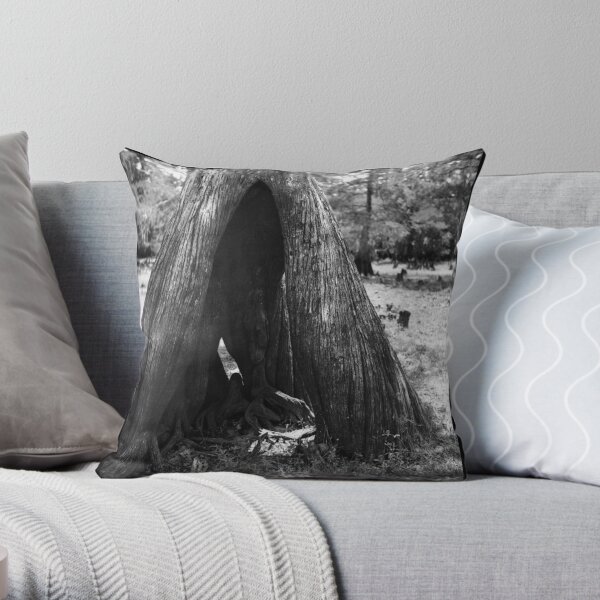 Cypress Cave Throw Pillow