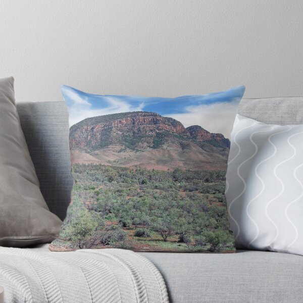 Artikelvorschau, Aroona Valley & The Heysen Range, Flinders Ranges, South Australia entworfen und verkauft von Adrian Paul.