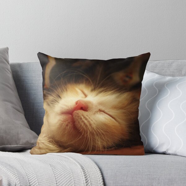 Item preview, In your arms, I iz the cutest! designed and sold by meowiyer.