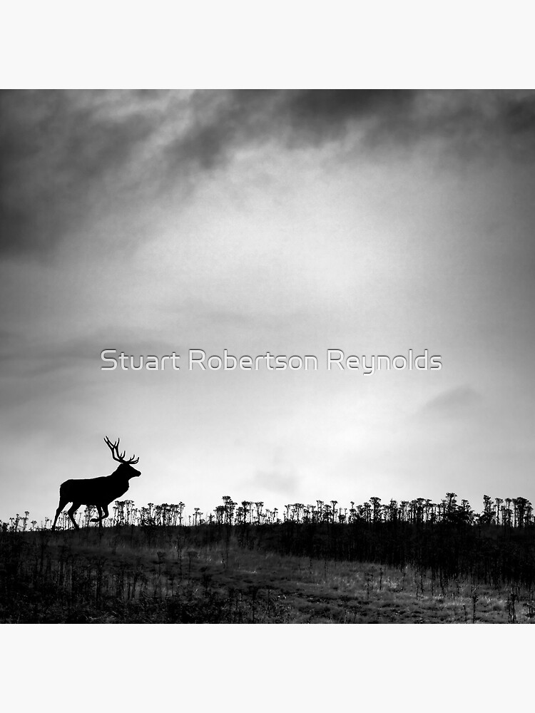The Stag by Sparky2000