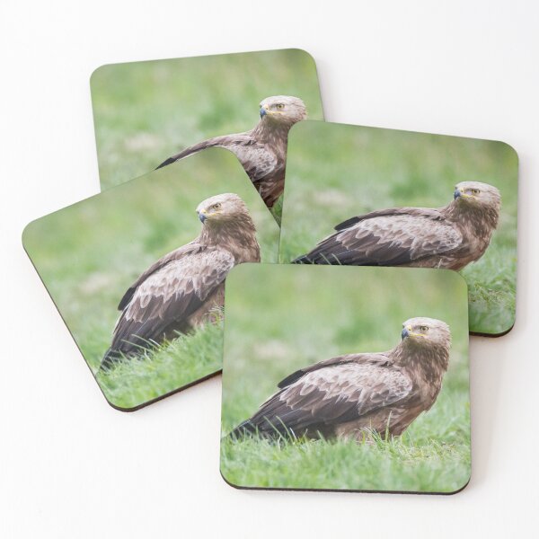 Item preview, Lesser Spotted Eagle #1 designed and sold by Dominika Aniola.