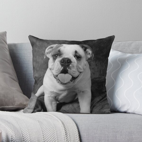 Bully Throw Pillow