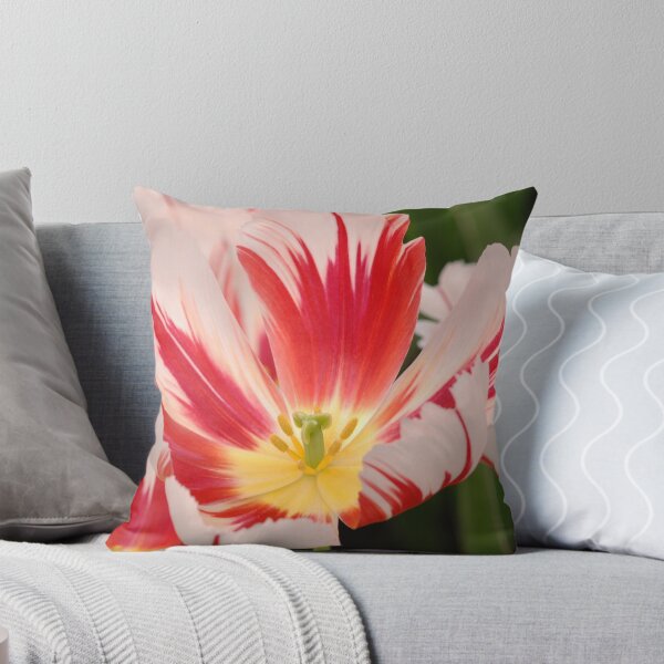 Artikelvorschau, Tulip  entworfen und verkauft von roumen.