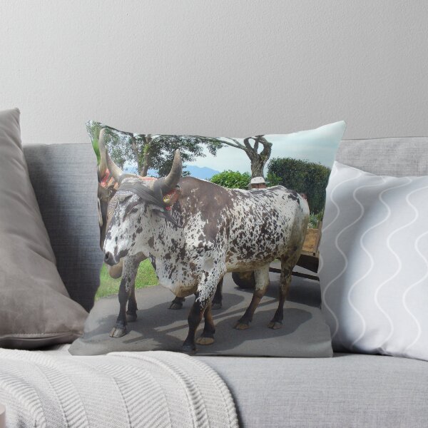 Item preview, Oxes Still working Take2 designed and sold by Guy C. André Tschiderer.