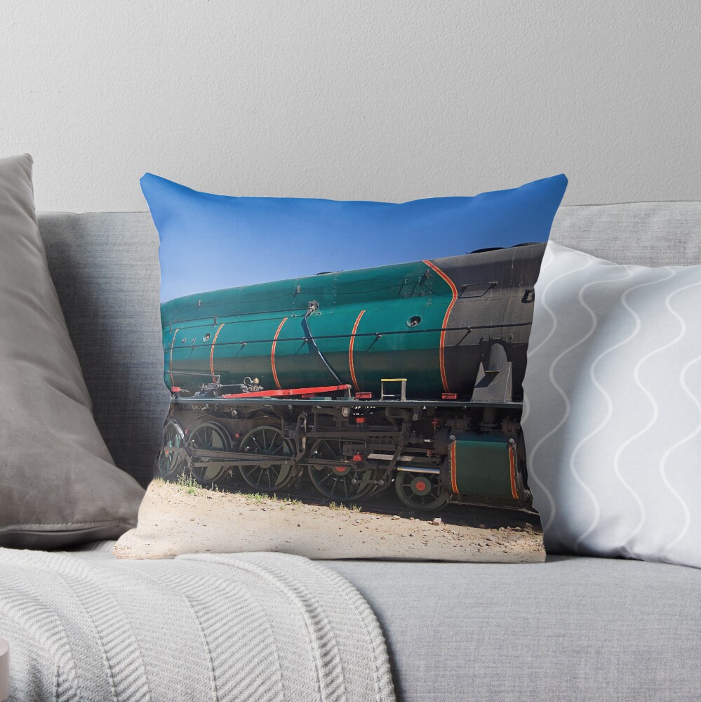 All Aboard Throw Pillow