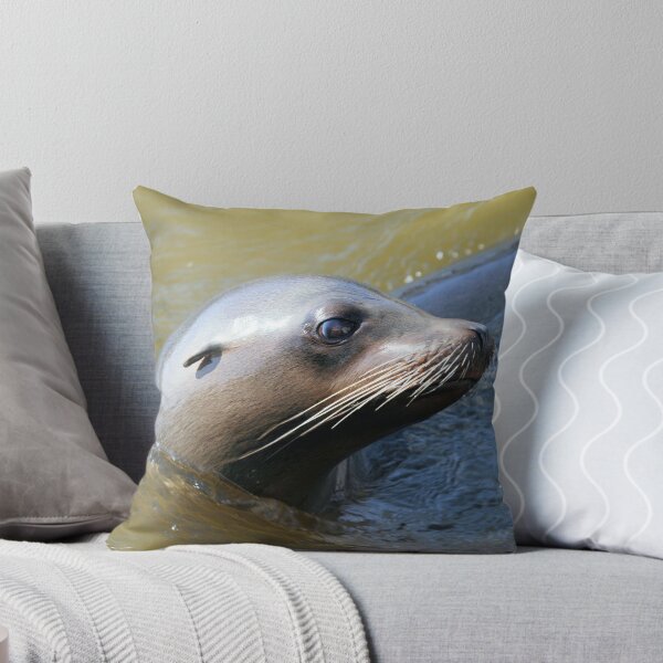 Item preview, Sealion designed and sold by rhallam.