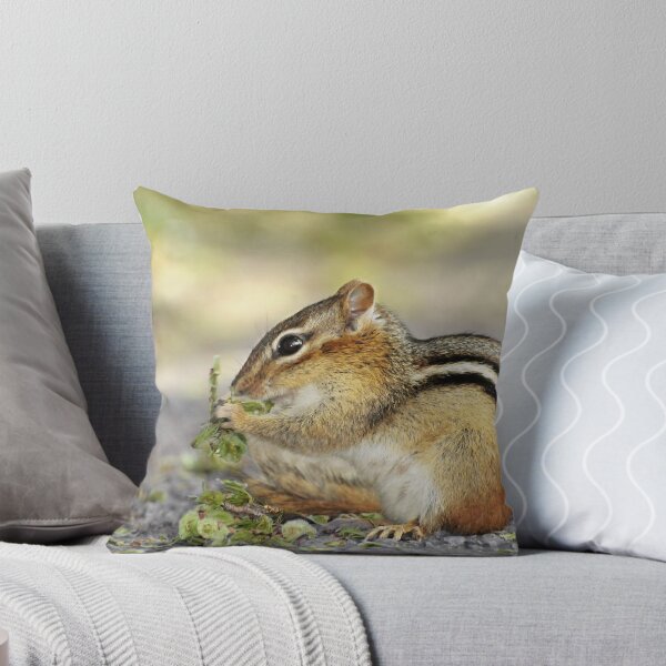 Item preview, NY CHIPMONK designed and sold by mc27.