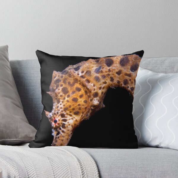 Item preview, Seahorse abstract, Melbourne  designed and sold by Stephen Colquitt.