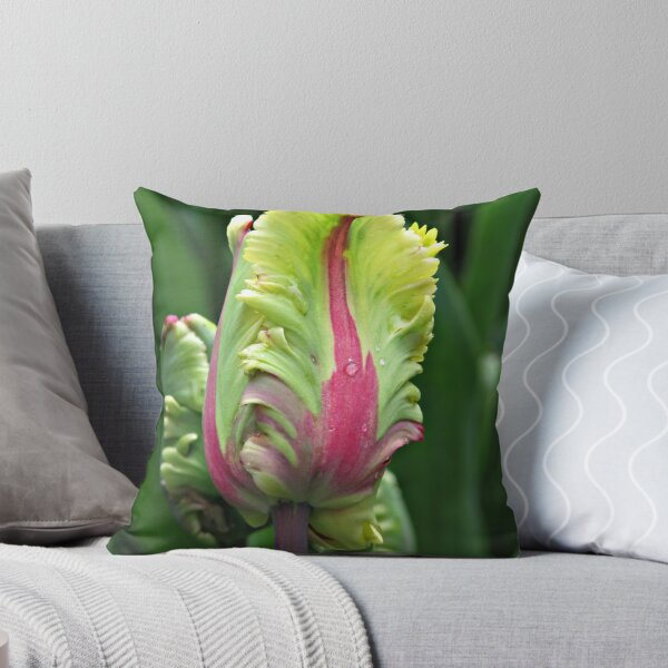 Item preview, Waiting to open designed and sold by Kathy Yates.